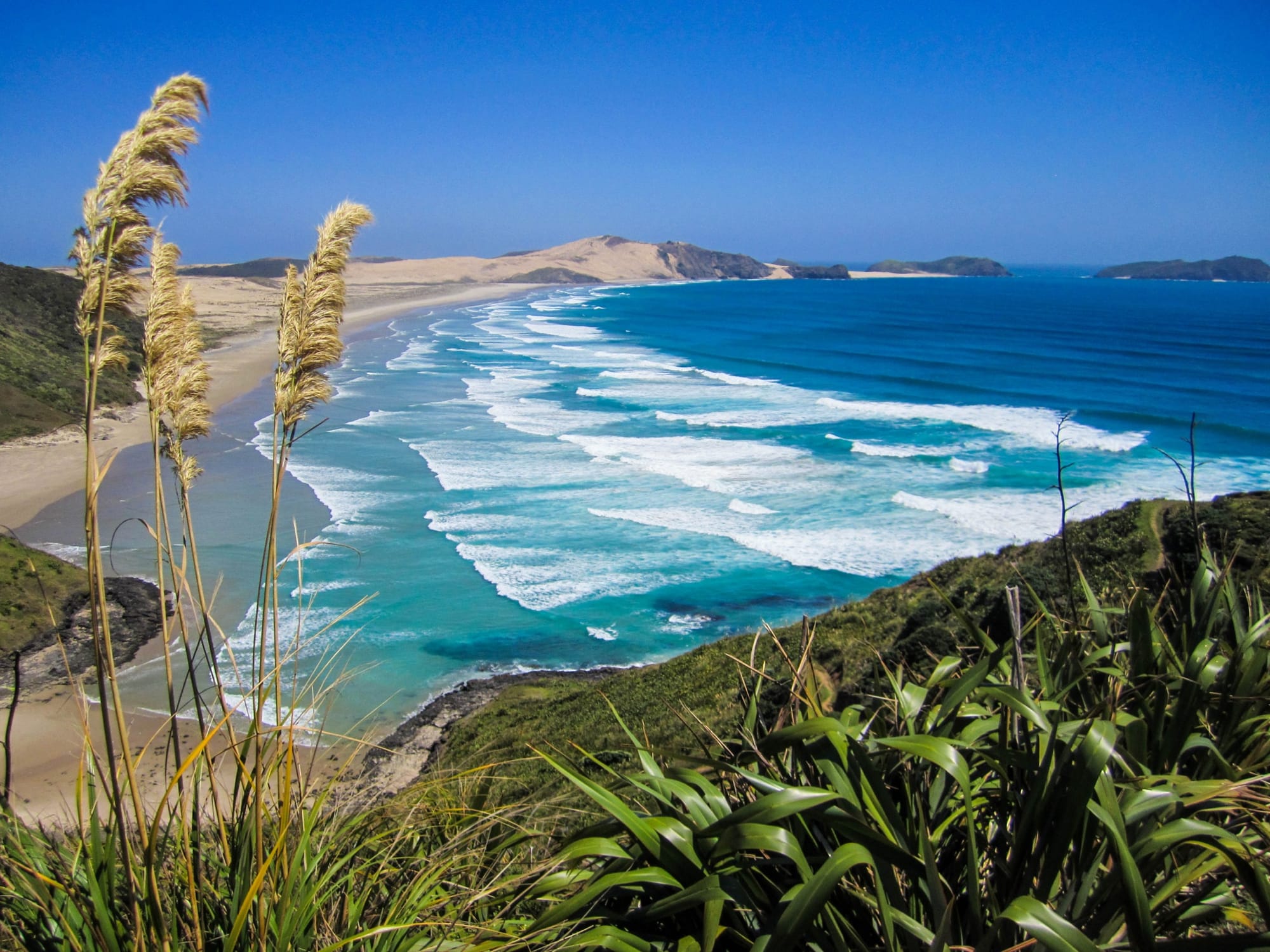 Looking towards the beach from a hill, North Island, New Zealand