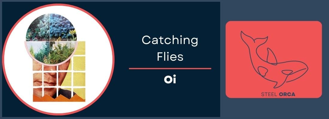 The Steel Orca Song Banner: Catching Flies - Oi