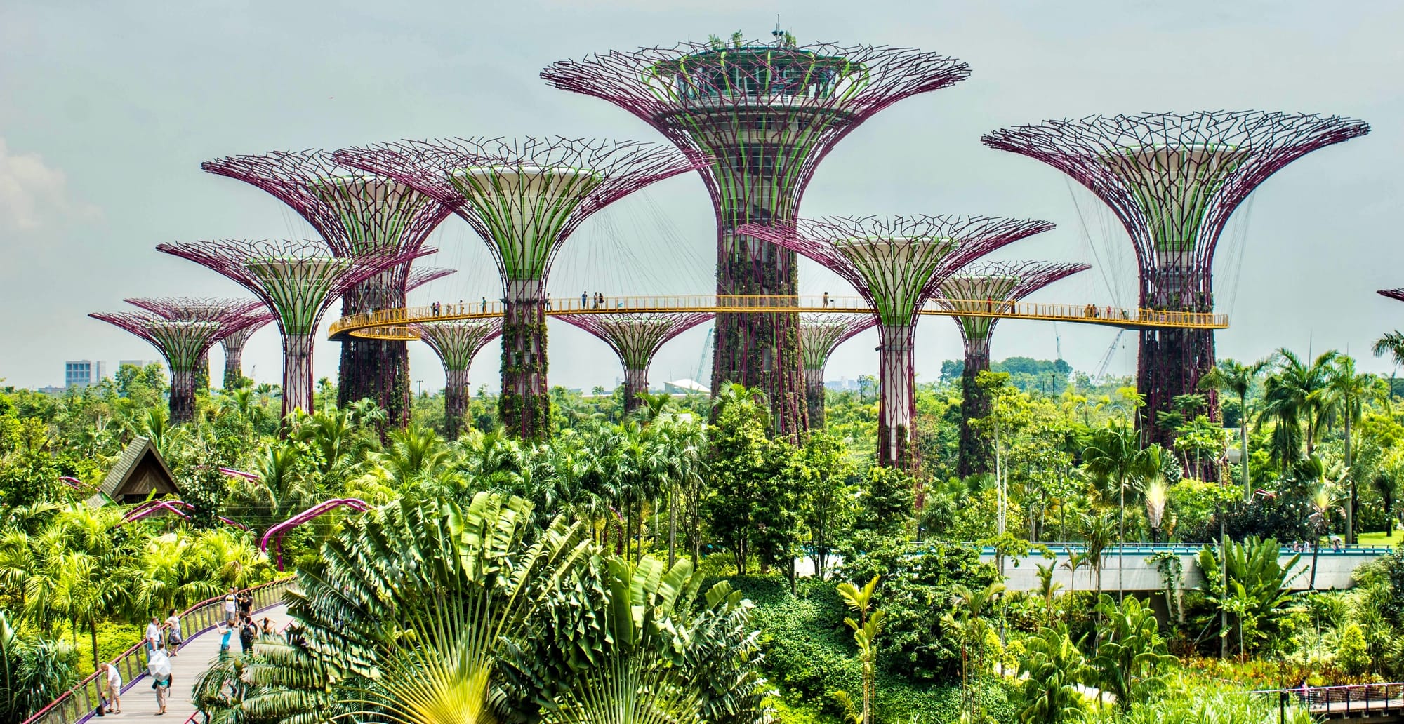 Supertree Grove, Gardens by the Bay, Singapore