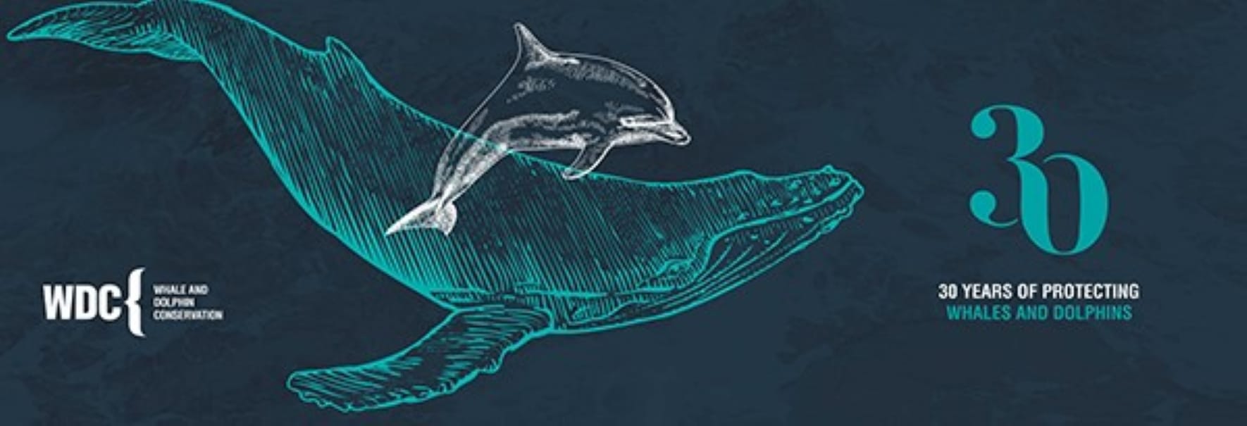 Whale and Dolphin Conservation
