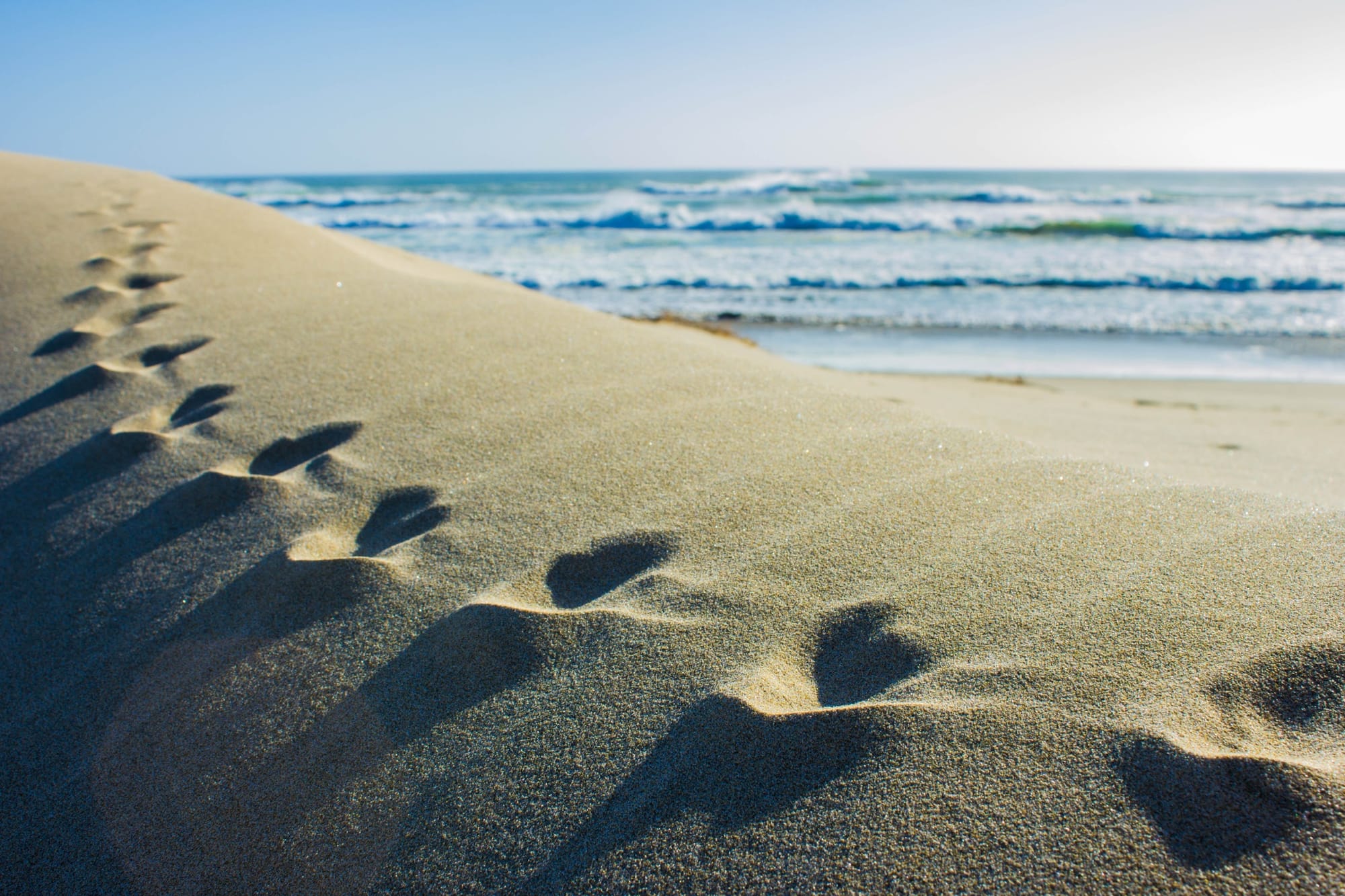 Beach sand and waves, North Island, New Zealand