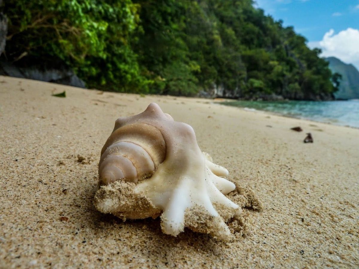 🎧 Songs of the Week #8: Went too hard I'm about to crash