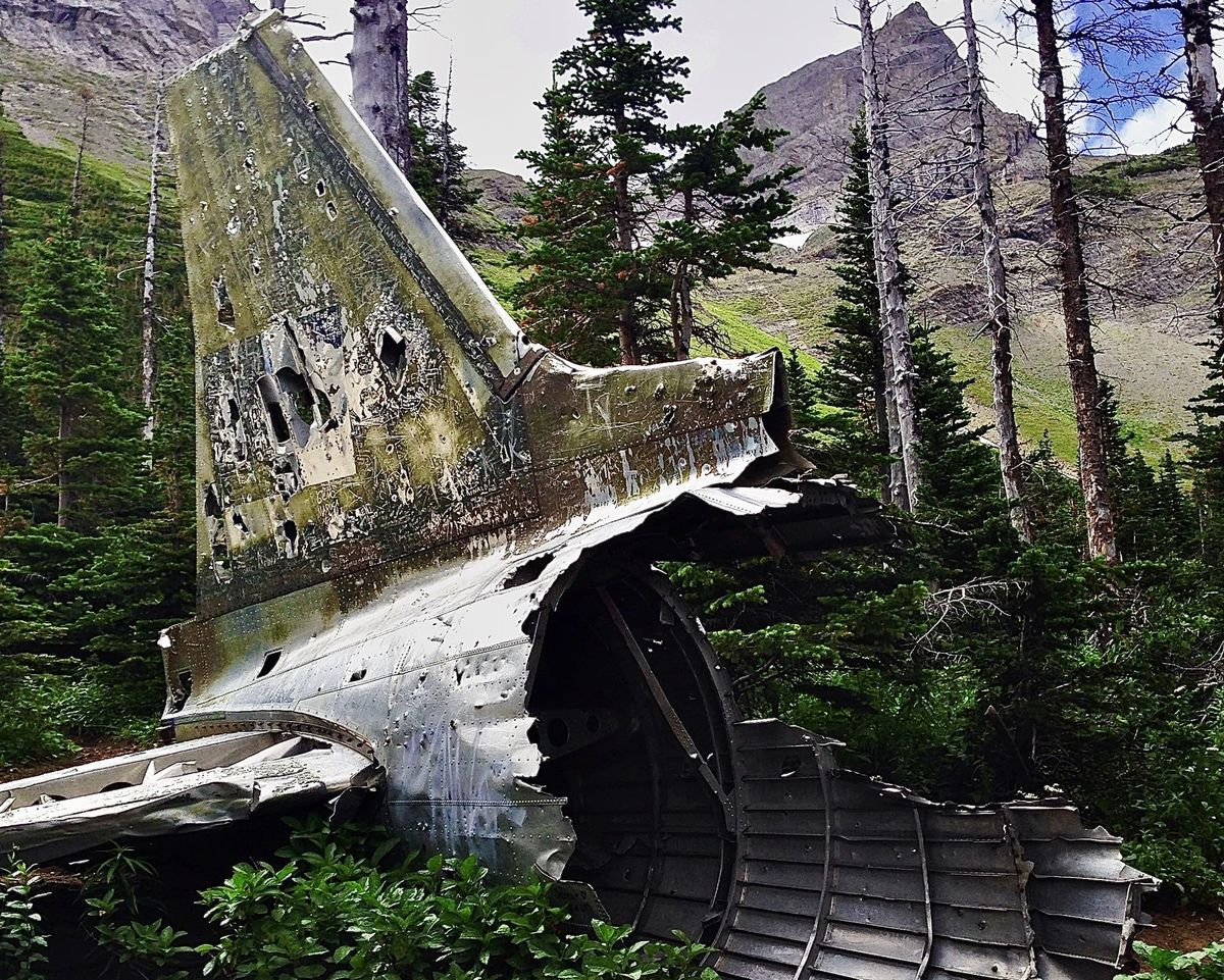 👨‍💻 Steel Orca Tech Support #1: I broke Substack (and it wasn't that hard)