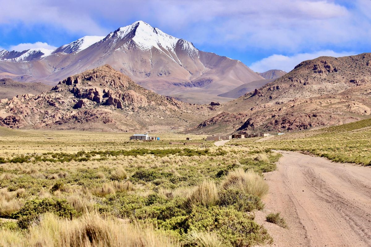 🎧 Songs of the Week #29: If you don't know what to do, follow me. I'll see you through.