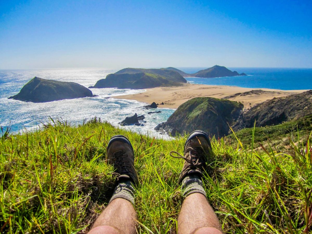 🎧 Songs of the Week #27: The world is changing and we're gonna make it through.