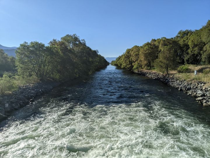 🎧 Songs of the Week #2: You could live to a hundred, you could die tonight