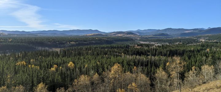 🎧 Songs of the Week #5: Still it keeps on turning