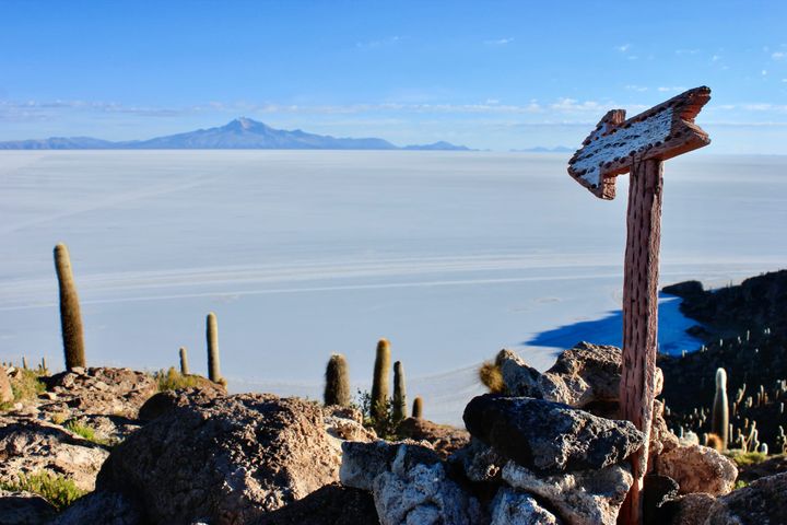 🎧 Songs of the Week #17: Elevate. Tessellate. Meditate. Regulate.