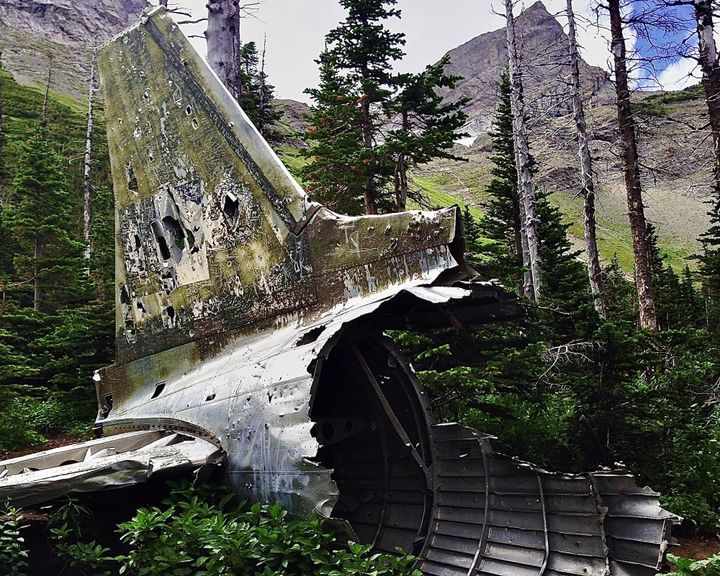 👨‍💻 Steel Orca Tech Support #1: I broke Substack (and it wasn't that hard)