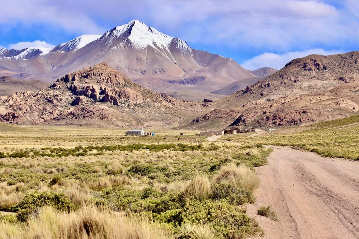 🎧 Songs of the Week #29: If you don't know what to do, follow me. I'll see you through.