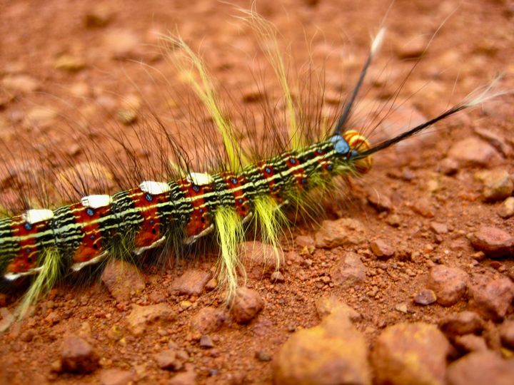 🎧 Songs of the Week #10: This is where you dance and be all cheeky