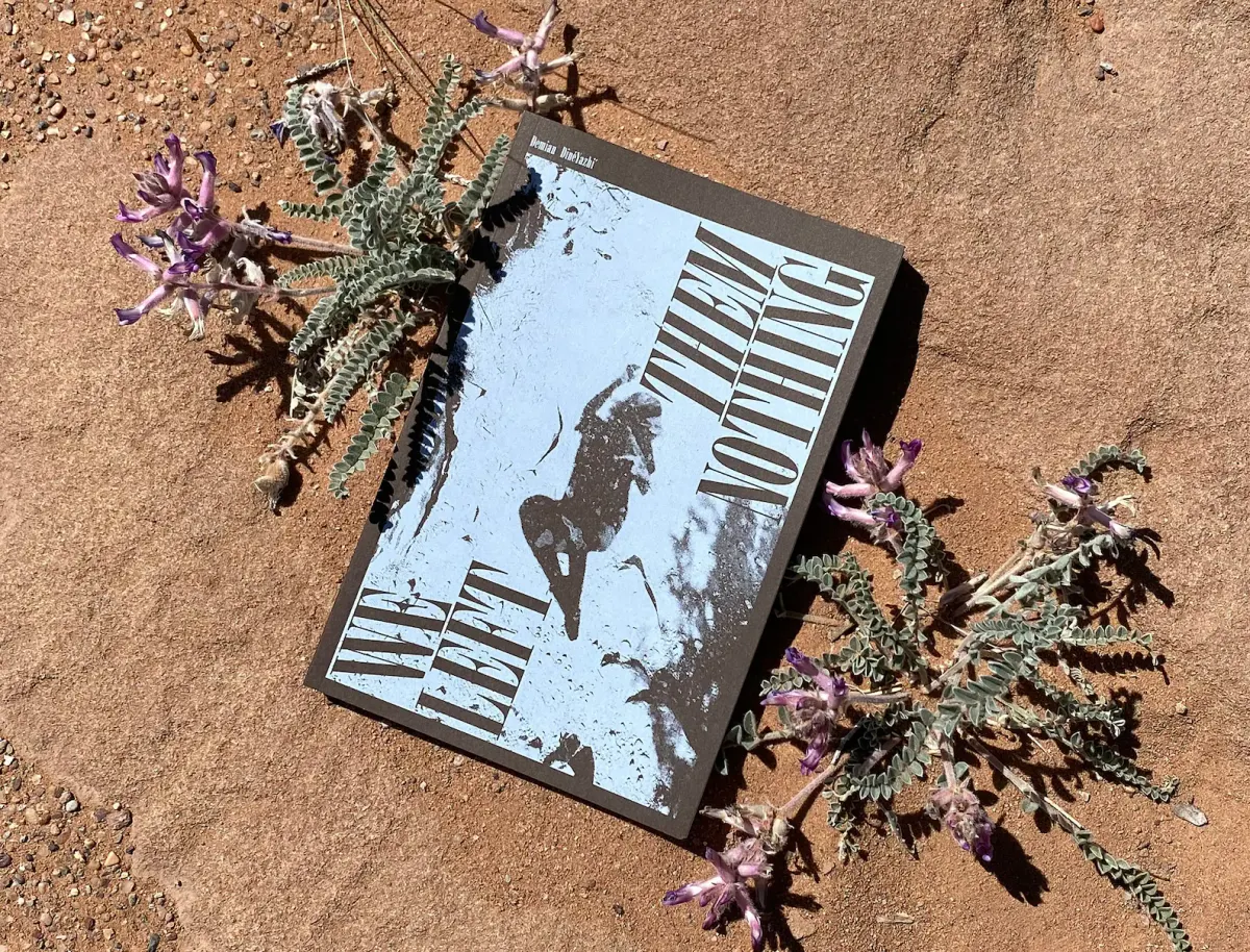 Big queer NDN poetry love (+ new reading guide!)