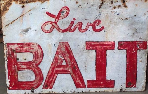 Live Bait’s oh so sweet sixteen! Weed in Illinois! It’s not 4.0!