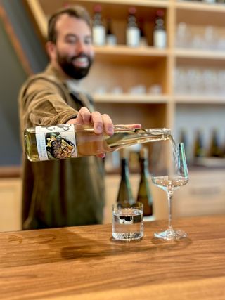 New Wine, Old Movies, an All-American and a One-Eyed Cat