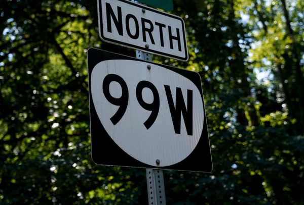 The 99 Newsletter is here! Issue #1. Let's go.