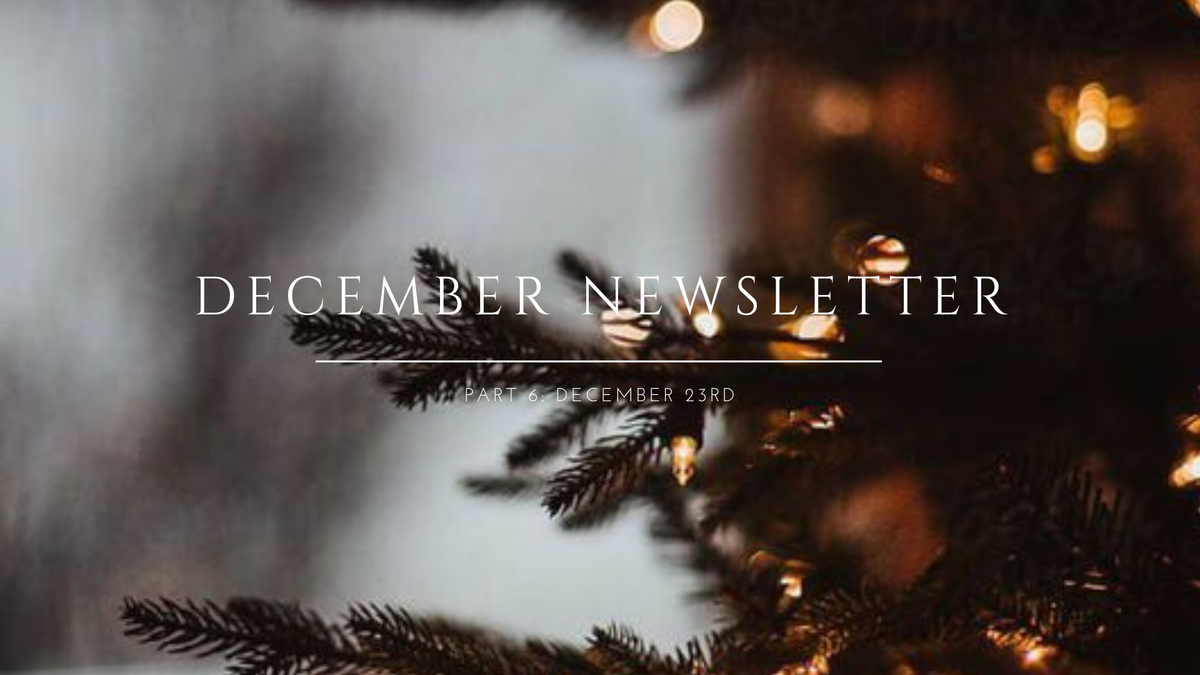 Hello Have More Cozy Winter Story