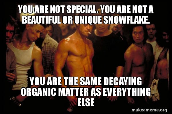 An image from the movie "Fight Club" the caption reads "You are not special. You are not a beautiful or unique snowflake. You are the same decaying organic matter as everything else."