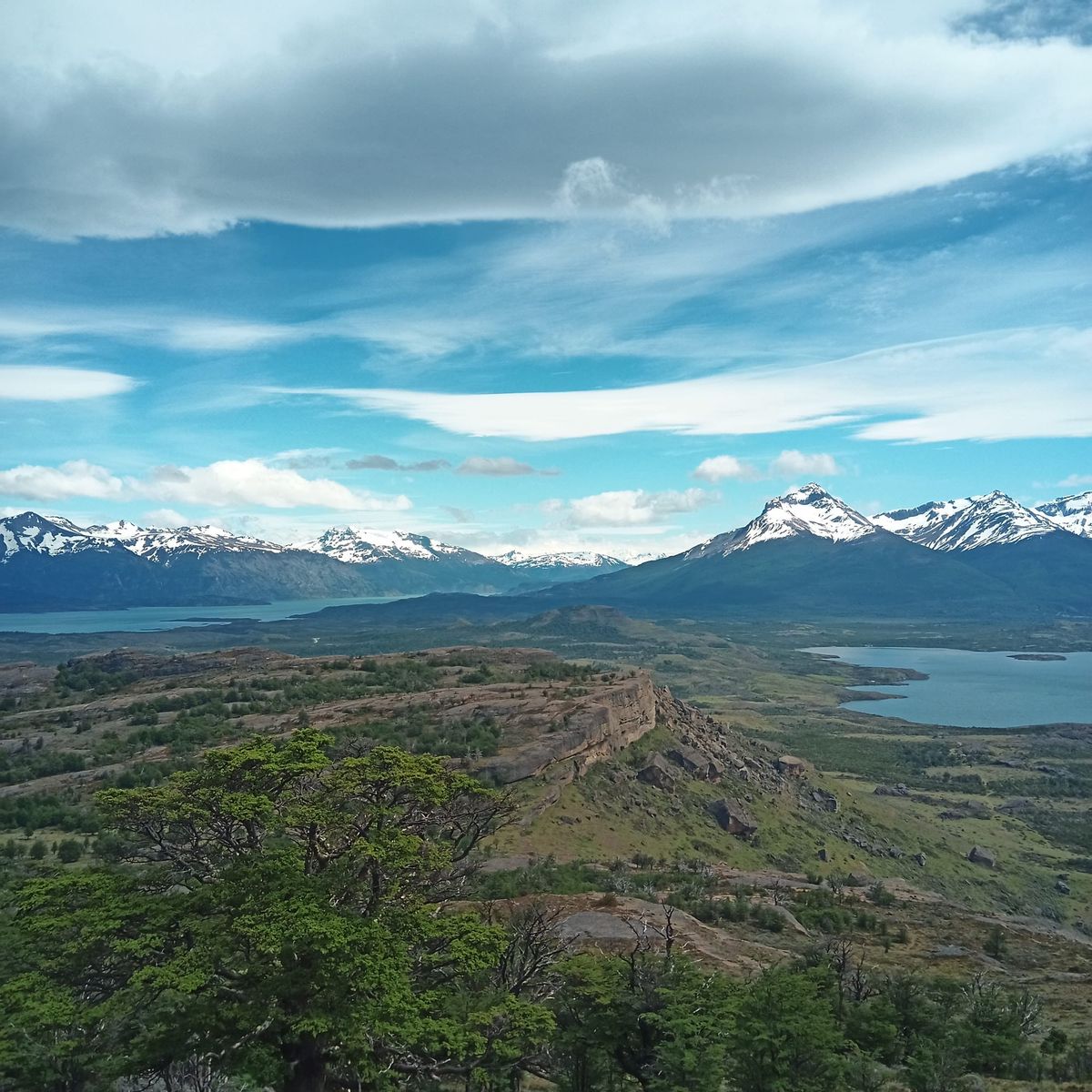 Austral