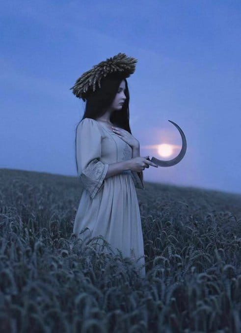 Return to the Light
