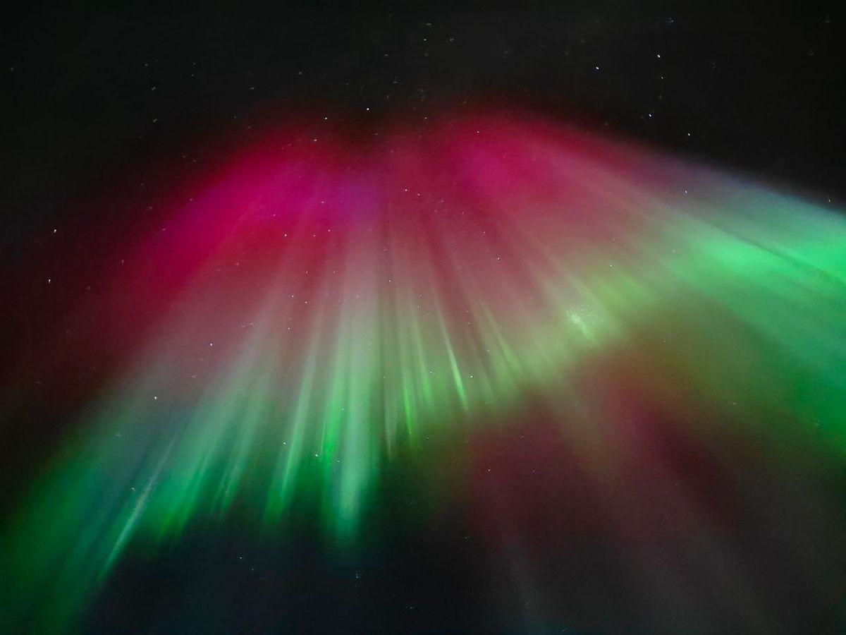 Boreal
