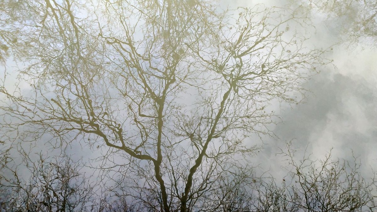 Time Less