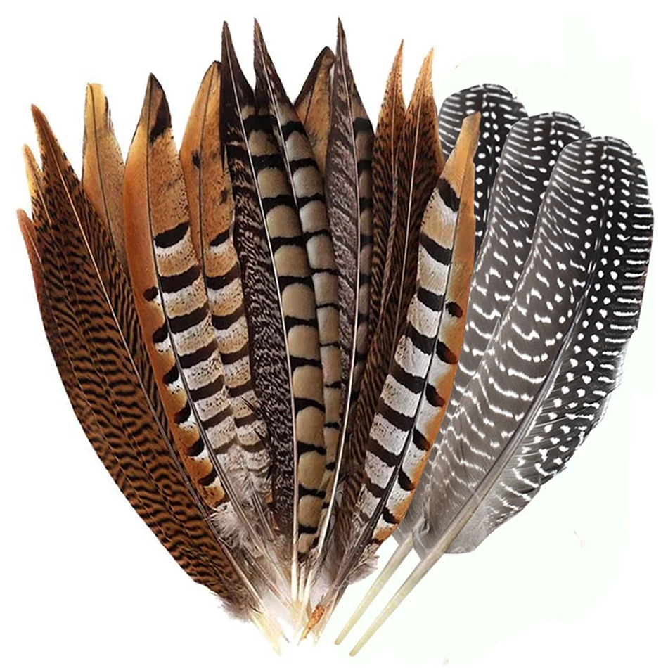 Plumas