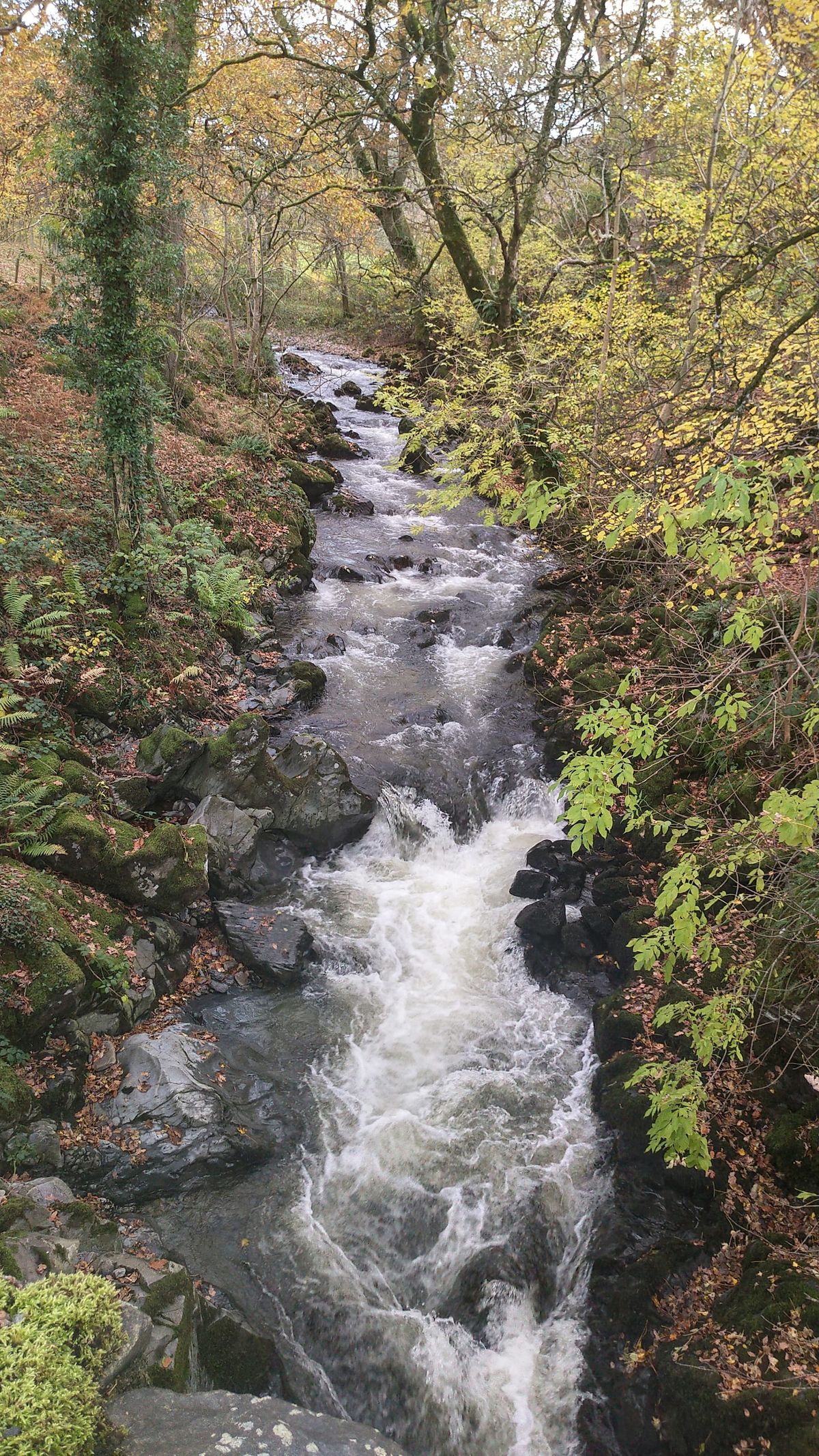 Agua