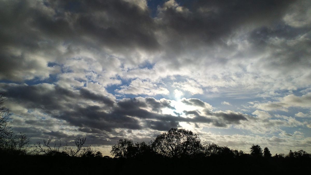 Poem: Amor Vincit Omnia