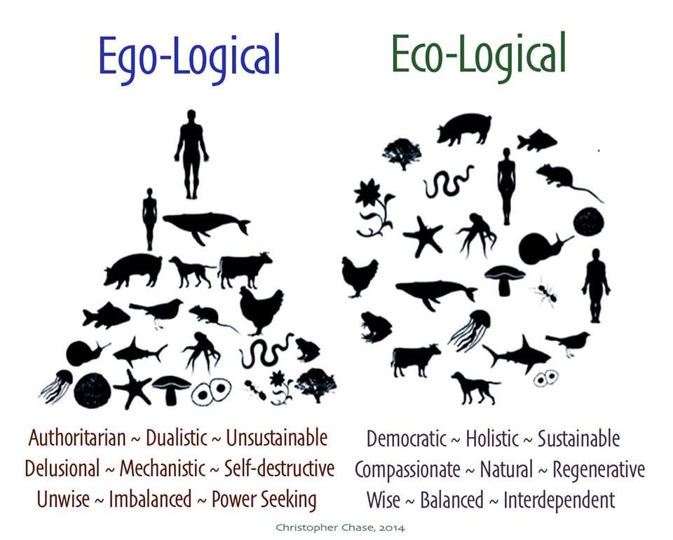 Del Estado Nación al Estado de la Natura