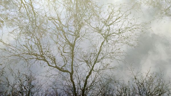 Time Less