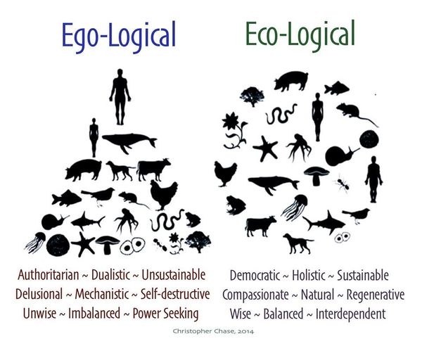 Del Estado Nación al Estado de la Natura