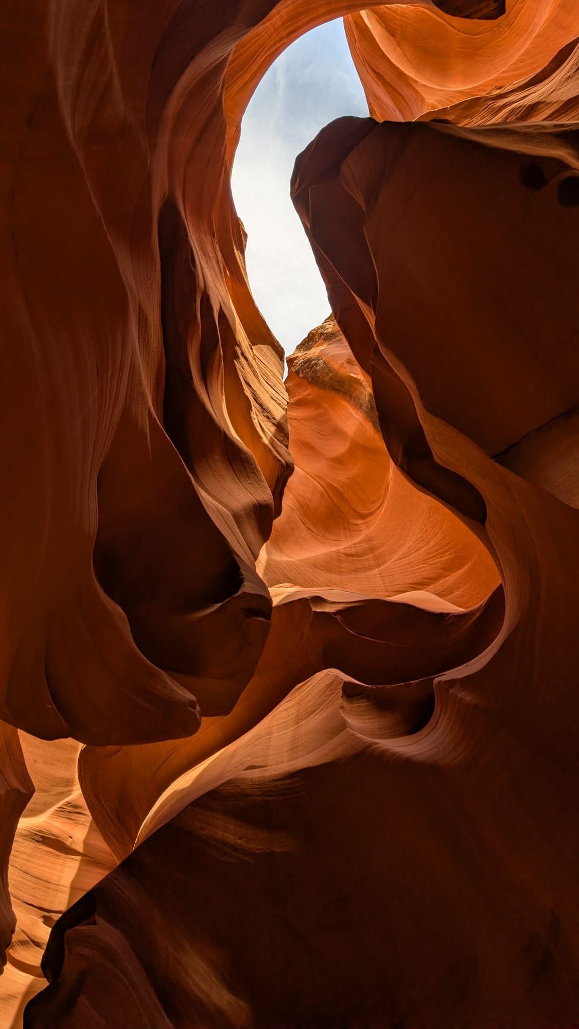 The Shape of Silence in the Desert