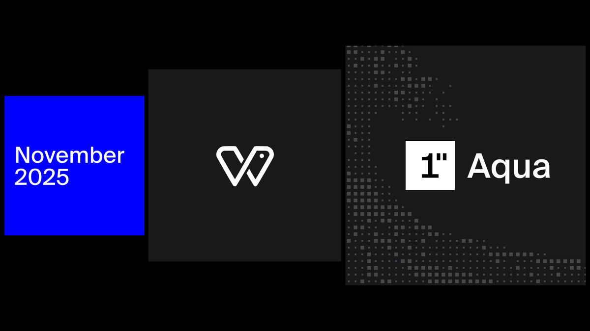 1inch digest November 2025