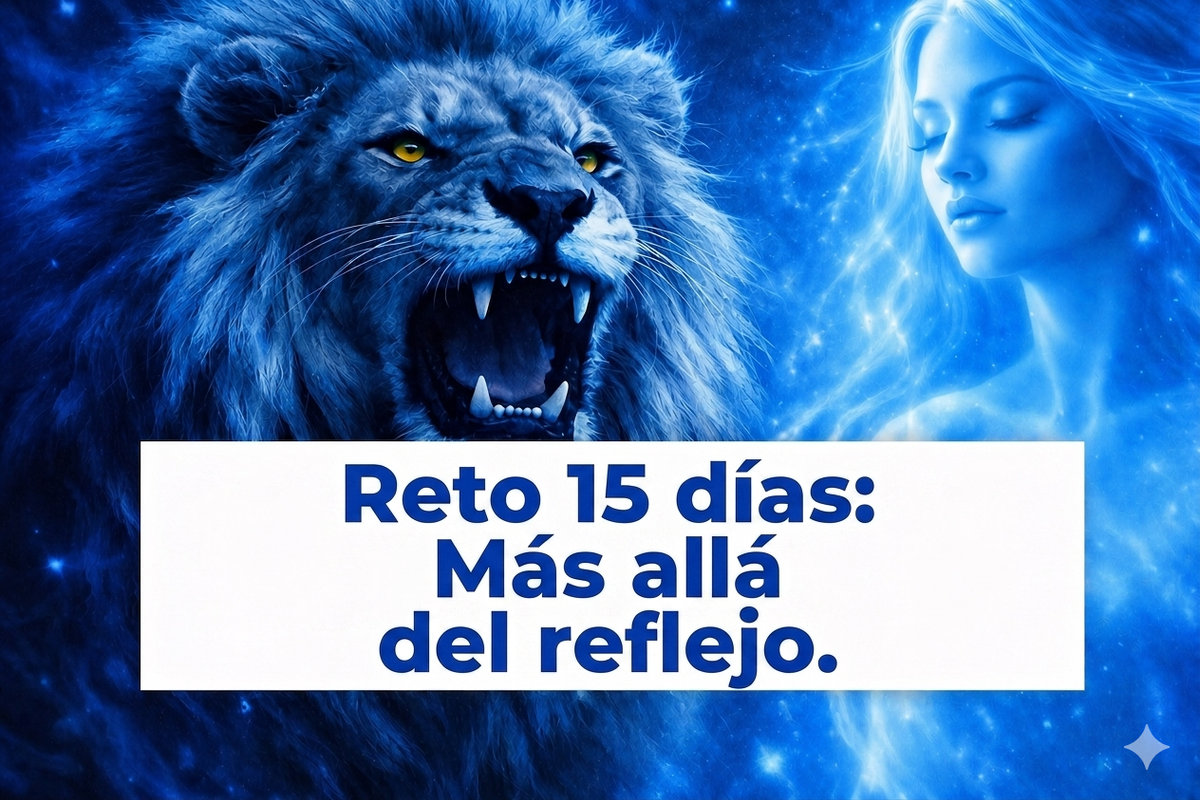 Reto 15 días . Más allá del reflejo.