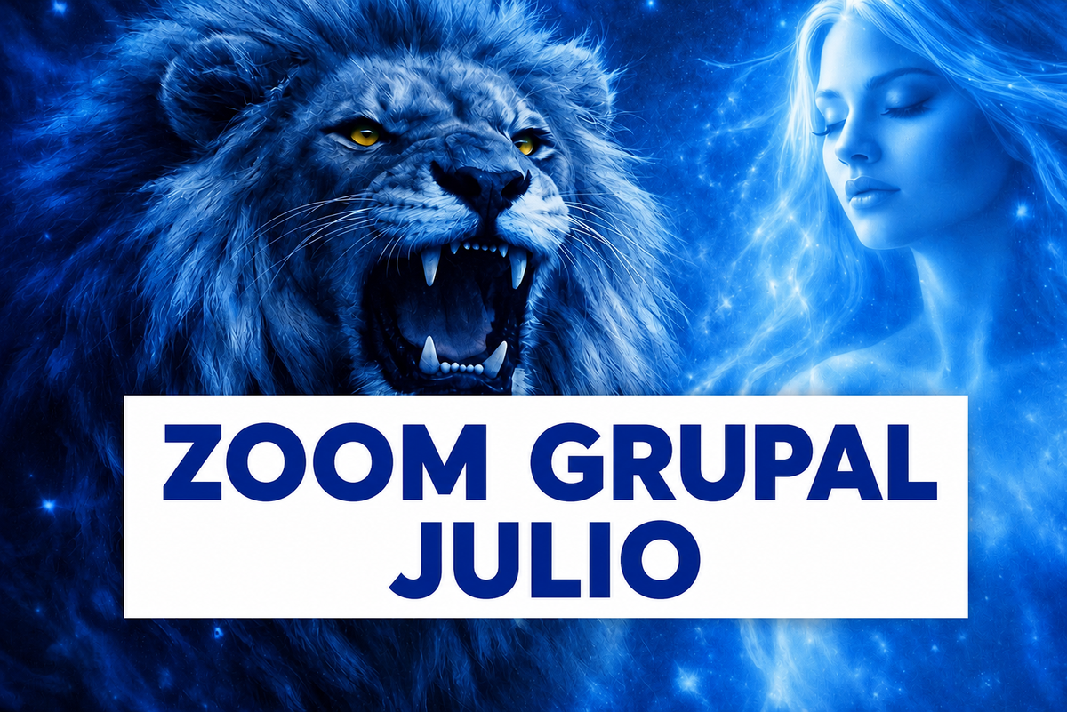 Zoom grupal Julio.