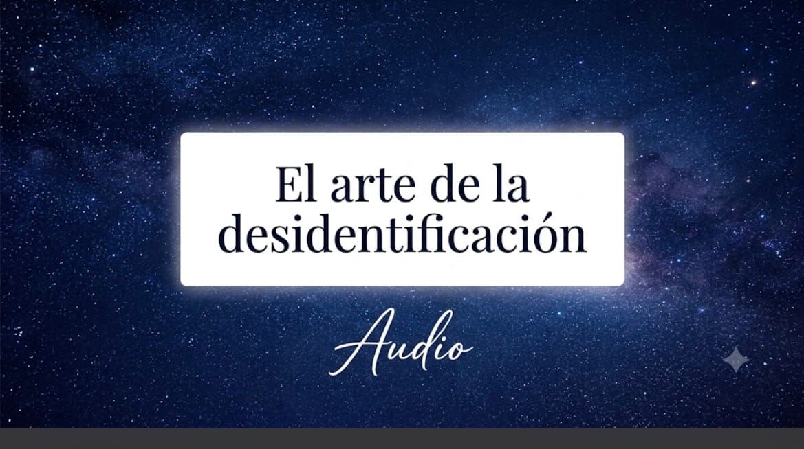 El arte de la desidentificacion.