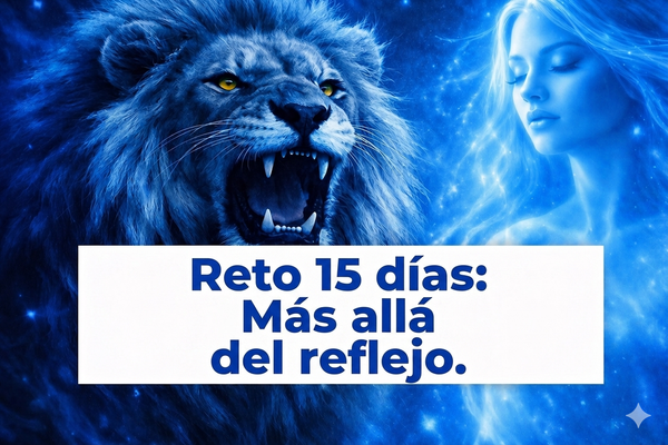 Reto 15 días . Más allá del reflejo.