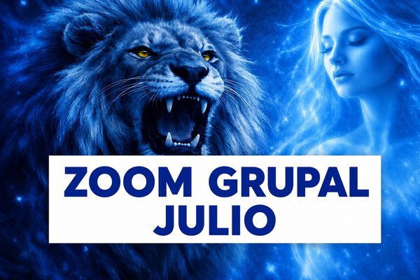 Zoom grupal Julio.