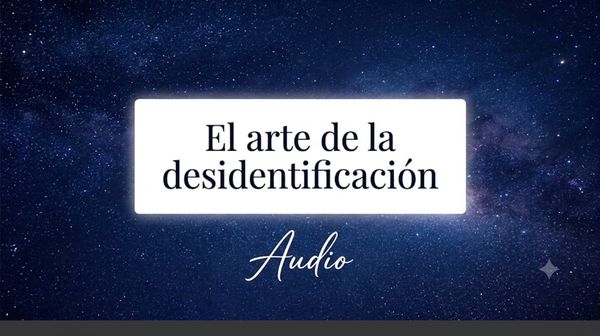 El arte de la desidentificacion.