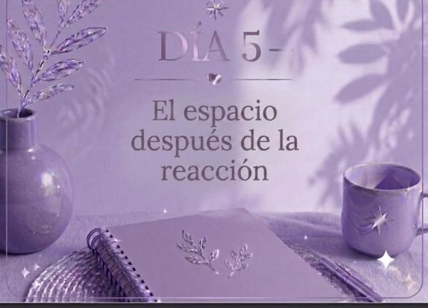 DÍA 5 — El espacio después de la reacción.