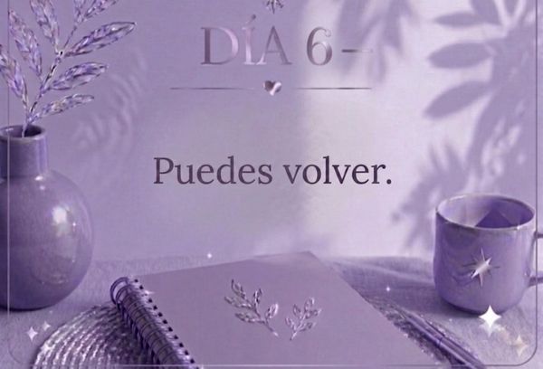 DÍA 6 — Puedes volver.
