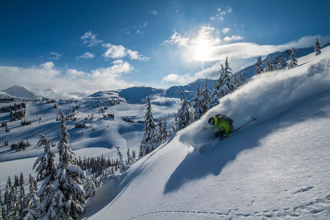 person wearing a yellow ski suit skiing deep powder in Whistler