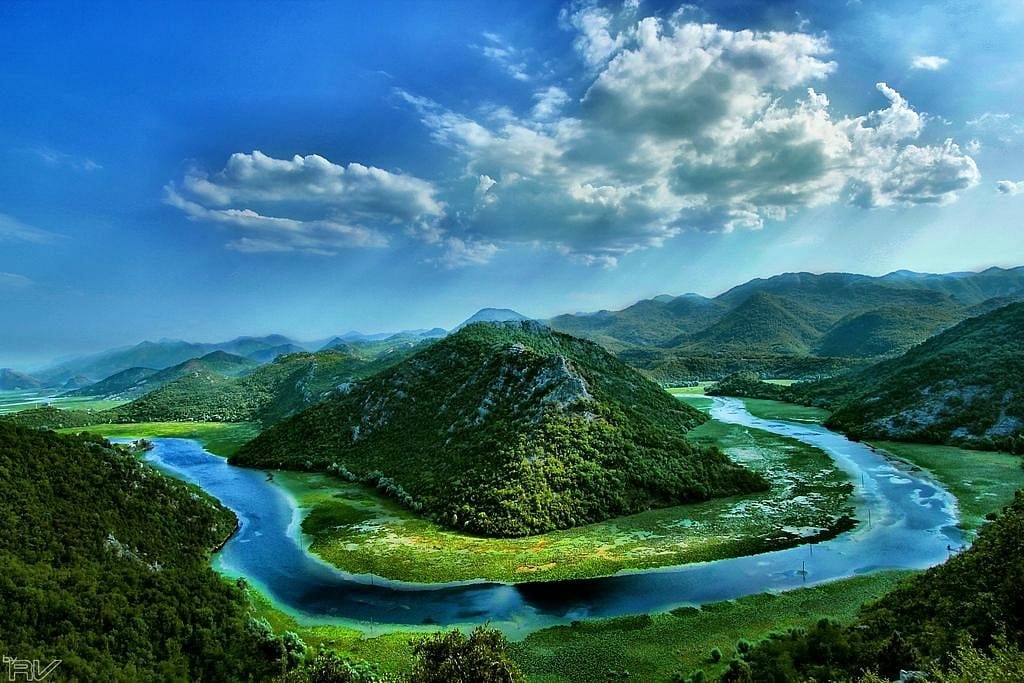 Shkodra Lake Albania is a beautiful lake that that flows like a river covered in lush bright green foliage.