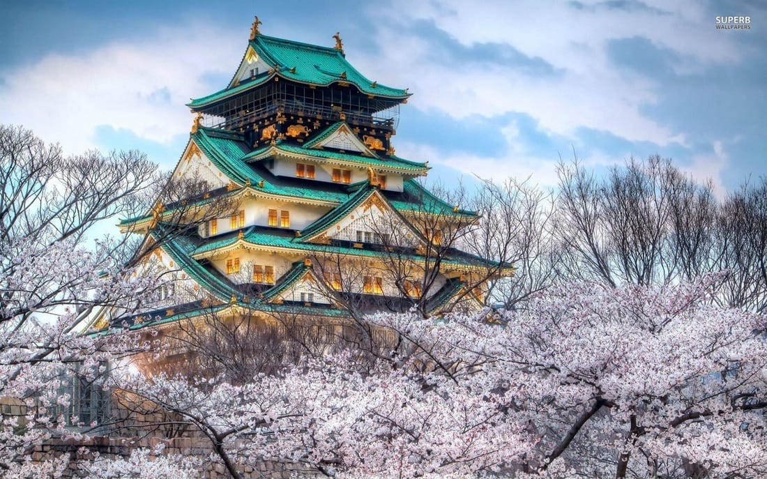 Osaka castle park on a cloudy day with cherry blossom trees in full bloom.