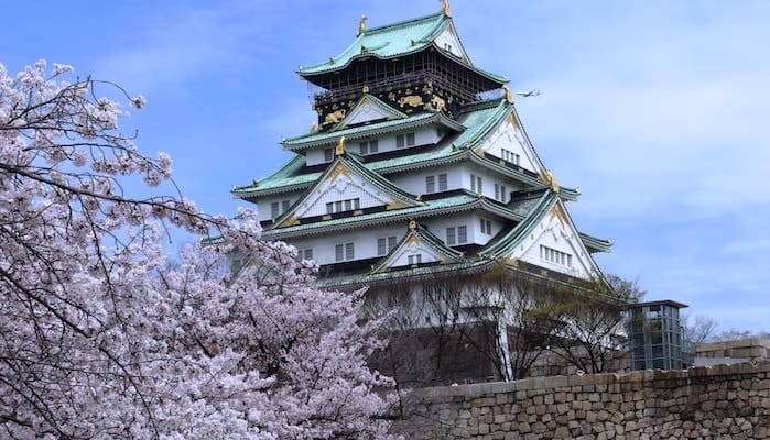 A cherry blossom tree in full bloom in front of Osaka Castle.