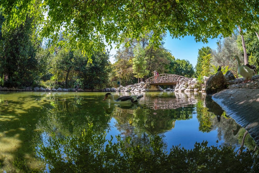 A small body of water with a rock bridge crossing over it in Athens, Greece with serene landscapes surrounding the water. 