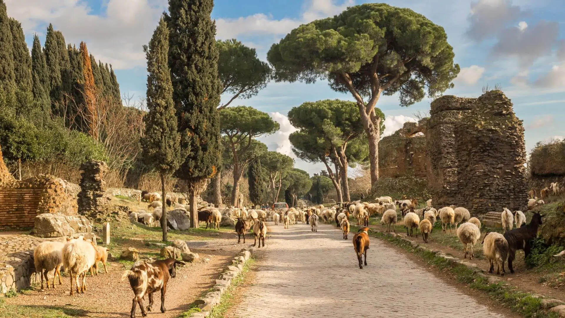 Various animals walking on a path at Via Appia Antica