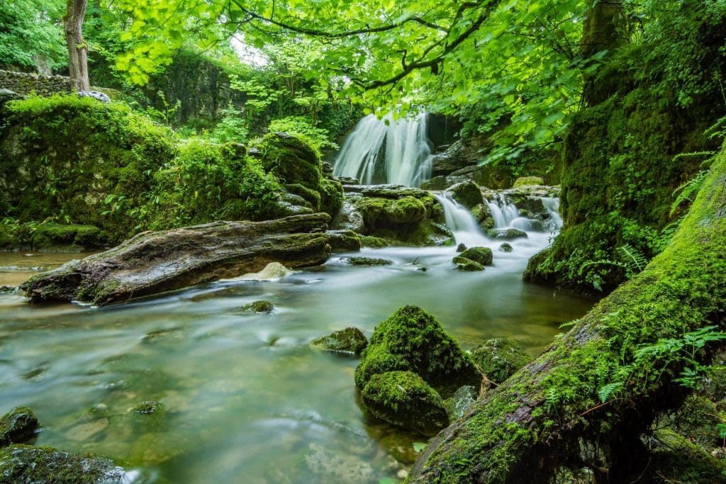 A water fall flowing into a creek at Lorentz National Park.