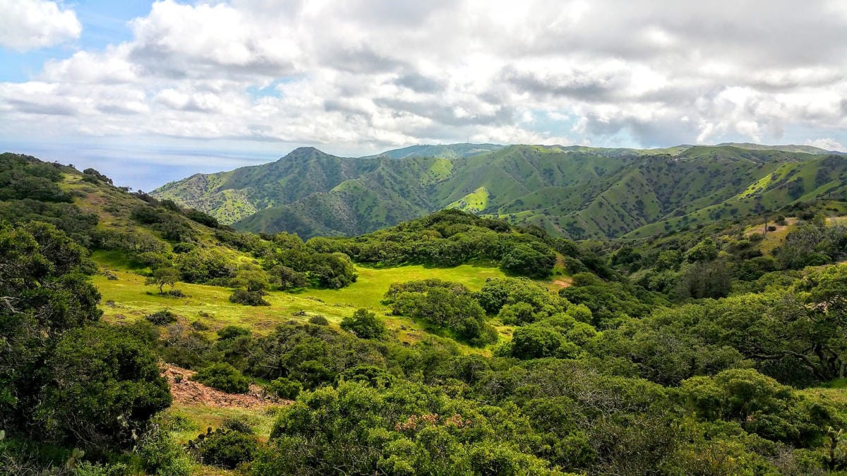 top things to do in Catalina Island