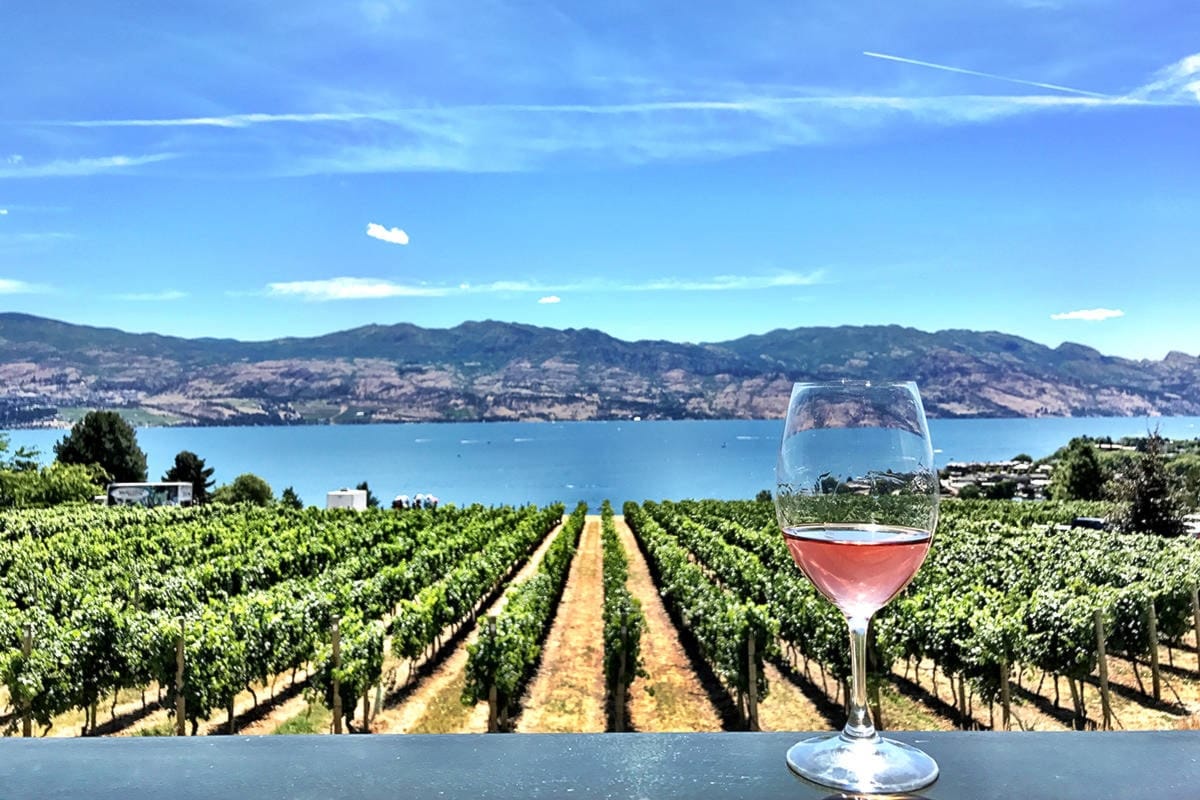 Cowichan Valley Wine Tour